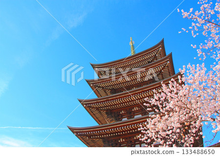 愛知縣名古屋市覺王山二泰寺五層寶塔與櫻花風景 愛知縣名古屋市覺王山二泰寺五層寶塔與櫻花風景 133488650