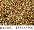 Ginkgo leaves carpet 133488700