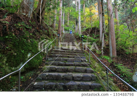 [Ehime Prefecture] Approach to Iwaya-ji Temple 133488798
