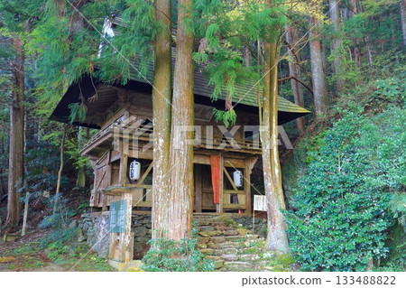 [Ehime Prefecture] Niomon Gate of Iwaya-ji Temple on a clear day 133488822