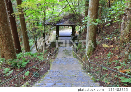 [Ehime Prefecture] The main gate of Iwaya-ji Temple 133488833
