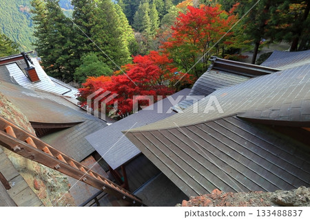 [Ehime Prefecture] Iwaya-ji Temple on a clear day and autumn leaves 133488837