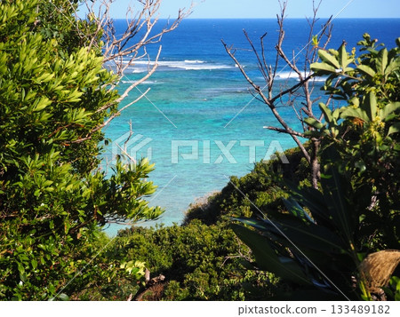 <Amami Oshima> Magnificent views and scenery 133489182