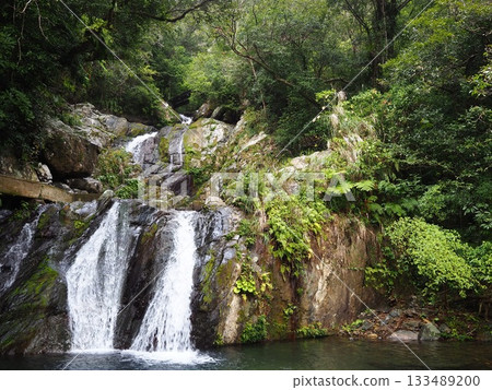 <Amami Oshima> Magnificent views and scenery 133489200