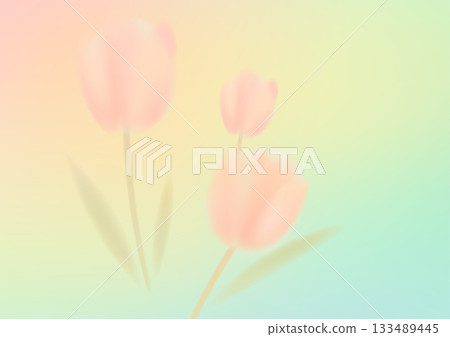 Tulips with colorful gradient for March 8 design 133489445