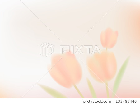 Soft tulip flower illustration for March 8 and spring 133489446