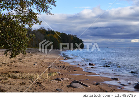 Coastal forest and sandy beach along calm sea under cloudy sky. Coastal forest and sandy beach along calm sea under cloudy sky. 133489789