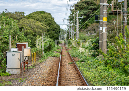 千葉縣境內的JR內房線,周圍環繞著秋天的雜草,一條地方線一直延伸到未來。 千葉縣境內的JR內房線,周圍環繞著秋天的雜草,一條地方線一直延伸到未來。 133490159