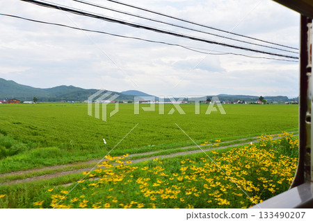 View of the JR Hokkaido Sekihoku Main Line between Ikaushi Station and Sakuraoka Station (Summer 2023) 133490207