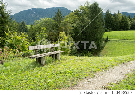 Outdoor recreation. Wooden bench on the lawn of a deciduous forest 133490539