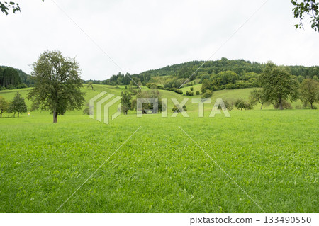 Idyllic Rural Scene, Meadow Grass and Distant Hills 133490550