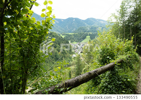 Hiking trail in deciduous forest with mountain views. Hiking trail in deciduous forest with mountain views. 133490555