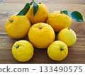 Fresh citron 133490575