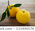Fresh citron 133490576