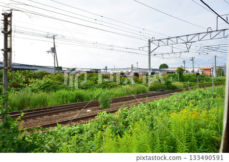 JR北海道關北本線櫻岡站至南長山站之間的景色（2023年夏季） 133490591