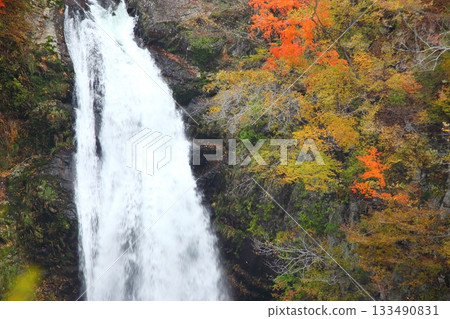 Autumnal autumnal falls fall 133490831