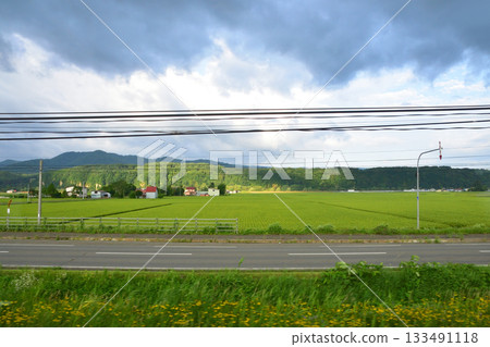 Scenery between Nishi-Goryo Station and Nishi-Sewa Station on the JR Hokkaido Furano Line (early morning in summer 2023) Scenery between Nishi-Goryo Station and Nishi-Sewa Station on the JR Hokkaido Furano Line (early morning in summer 2023) 133491118