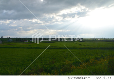 JR北海道富良野線西成岩站至北美英站之間的風景(2023年夏季清晨) JR北海道富良野線西成岩站至北美英站之間的風景(2023年夏季清晨) 133491253