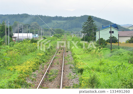 JR北海道富良野線西成岩站至北美英站之間的風景(2023年夏季清晨) JR北海道富良野線西成岩站至北美英站之間的風景(2023年夏季清晨) 133491260