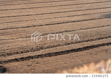 春耕田、農地、田地、耕作（四月） 133491271