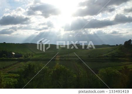 Scenery between Kita-Biei Station and Bibaushi Station on the JR Hokkaido Furano Line (early morning in summer 2023) Scenery between Kita-Biei Station and Bibaushi Station on the JR Hokkaido Furano Line (early morning in summer 2023) 133491419