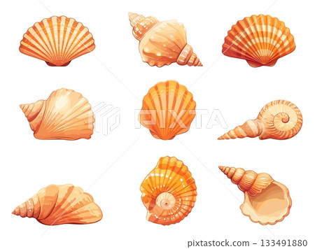 Set of cartoon sea shells of different shapes and sizes, sea bottom, oysters, marine animals, vector illustration 133491880