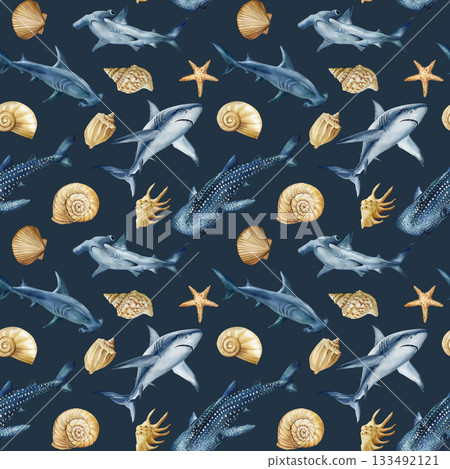 Shark seashell starfish watercolor marine pattern with hammerhead whale shark and ocean shells on dark background Shark seashell starfish watercolor marine pattern with hammerhead whale shark and ocean shells on dark background 133492121