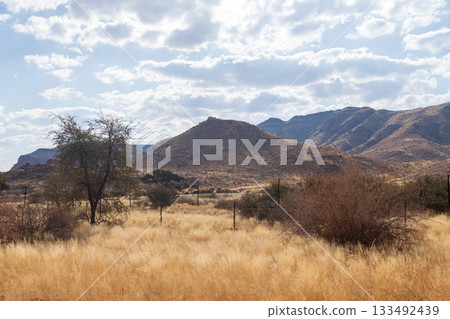 Namibian Desert Landscape Namibian Desert Landscape 133492439