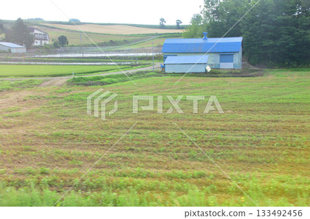 JR北海道富良野線美包牛站至西中站之間的風景（2023年夏季清晨） 133492456