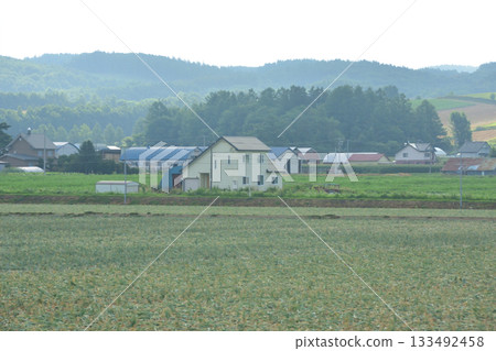 Scenery between Bibaushi Station and Nishinaka Station on the JR Hokkaido Furano Line (early morning in summer 2023) Scenery between Bibaushi Station and Nishinaka Station on the JR Hokkaido Furano Line (early morning in summer 2023) 133492458