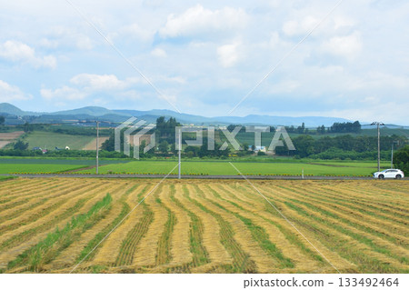 JR北海道富良野線美包牛站至西中站之間的風景（2023年夏季清晨） 133492464