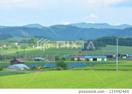 Scenery between Bibaushi Station and Nishinaka Station on the JR Hokkaido Furano Line (early morning in summer 2023) 133492469