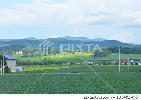 Scenery between Bibaushi Station and Nishinaka Station on the JR Hokkaido Furano Line (early morning in summer 2023) Scenery between Bibaushi Station and Nishinaka Station on the JR Hokkaido Furano Line (early morning in summer 2023) 133492470