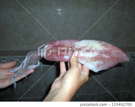 Hands Holding a Fresh Squid with Tentacles Against a Tiled Background Hands Holding a Fresh Squid with Tentacles Against a Tiled Background 133492700