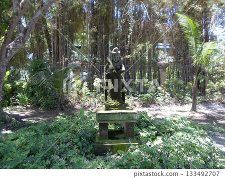 Stone Statue in a Tropical Garden Surrounded by Lush Greenery and Palm Trees Stone Statue in a Tropical Garden Surrounded by Lush Greenery and Palm Trees 133492707