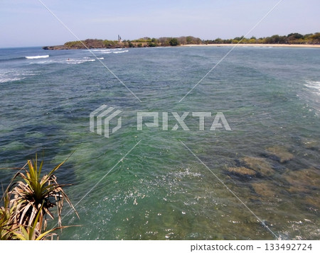 Ocean View Through Coastal Pandanus Trees with Waves Crashing on a Sunny Day Ocean View Through Coastal Pandanus Trees with Waves Crashing on a Sunny Day 133492724