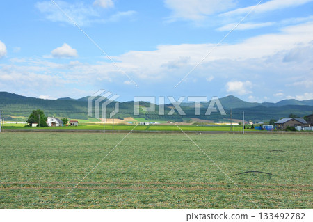 JR北海道富良野線西中站至鹿內站之間的風景(2023年夏季清晨) JR北海道富良野線西中站至鹿內站之間的風景(2023年夏季清晨) 133492782