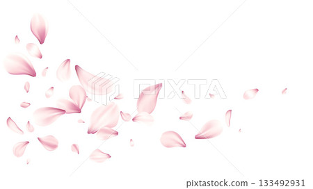 Pink Petals Scatter Across White Background In Soft Romantic Flower Splash Delicate Petal Motion Artwork Pink Petals Scatter Across White Background In Soft Romantic Flower Splash Delicate Petal Motion Artwork 133492931