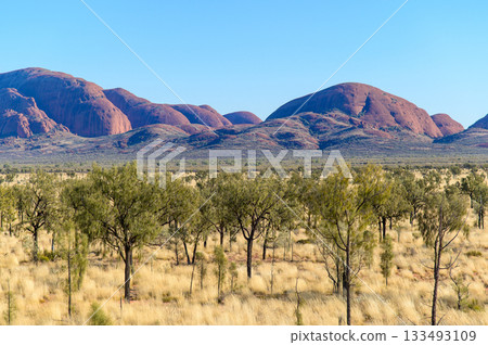 The stunning scenery of Kata Tjuta in Australia The stunning scenery of Kata Tjuta in Australia 133493109