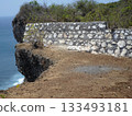 A Monkey on a Stone Wall Near a Cliffside with the Ocean in the Background and Sparse Vegetation 133493181