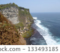 A Cliffside Covered in Lush Greenery Overlooking Ocean Waves Crashing on Rocky Shores 133493185