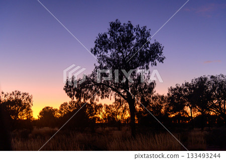 澳洲烏魯魯的壯麗荒野景色 澳洲烏魯魯的壯麗荒野景色 133493244
