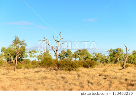 澳洲烏魯魯的壯麗荒野景色 澳洲烏魯魯的壯麗荒野景色 133493250