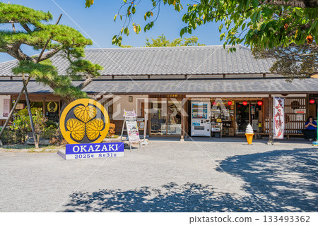 岡崎市（愛知縣）岡崎城公園的景色 133493362