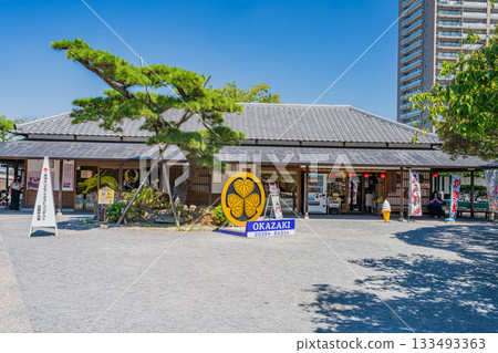 岡崎市（愛知縣）岡崎城公園的景色 133493363