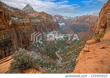 Zion National Park winter canyon landscape 133493820