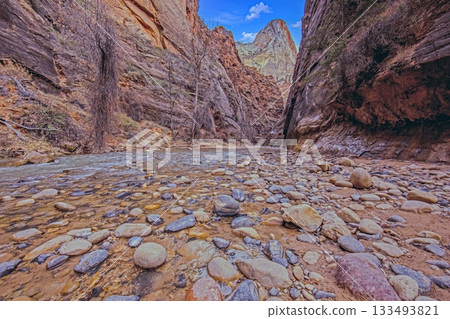 Zion National Park winter canyon landscape Zion National Park winter canyon landscape 133493821
