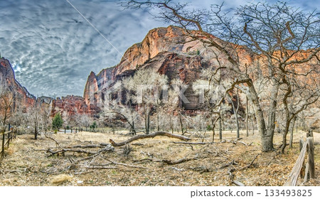 Zion National Park winter canyon landscape 133493825