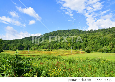 JR北海道根室本線,山部站至金山站沿途風景(2023年夏季) JR北海道根室本線,山部站至金山站沿途風景(2023年夏季) 133494340