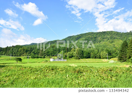 JR北海道根室本線，山部站至金山站沿途風景（2023年夏季） 133494342